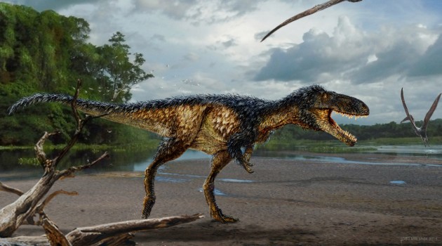 New horse-sized tyrannosaur with big brain reveals how "T. rex" became top predator
