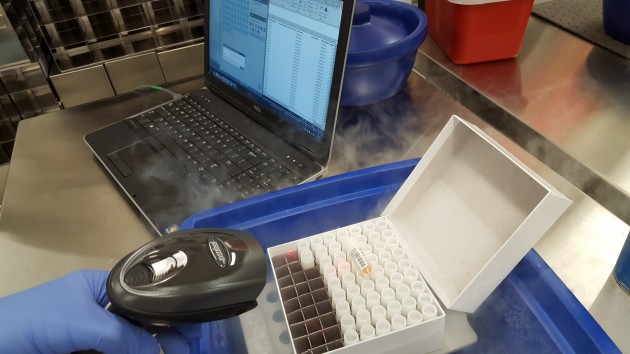 scanning tissue samples into FreezerPro, the sample management system
